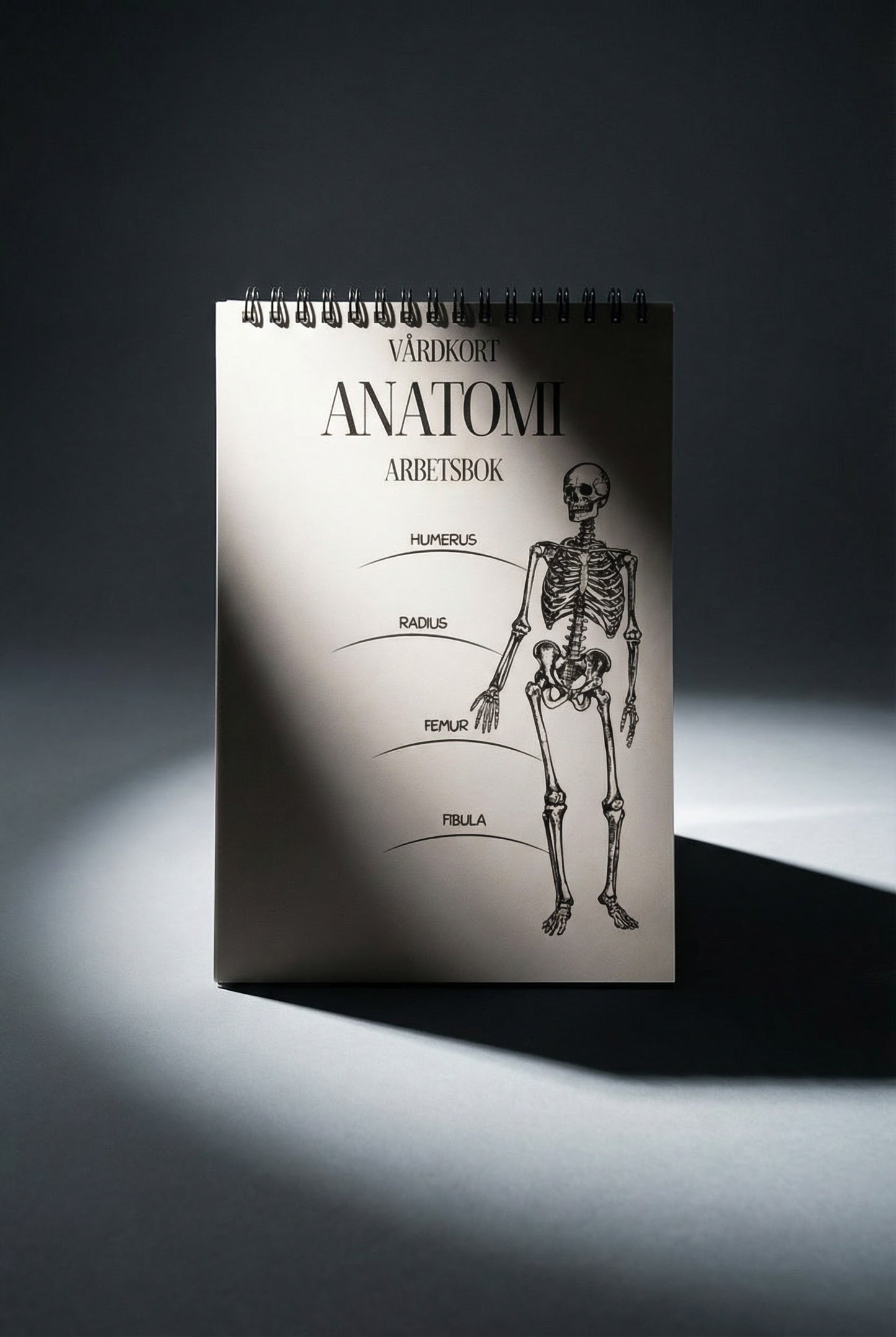 Anatomi Arbetsbok